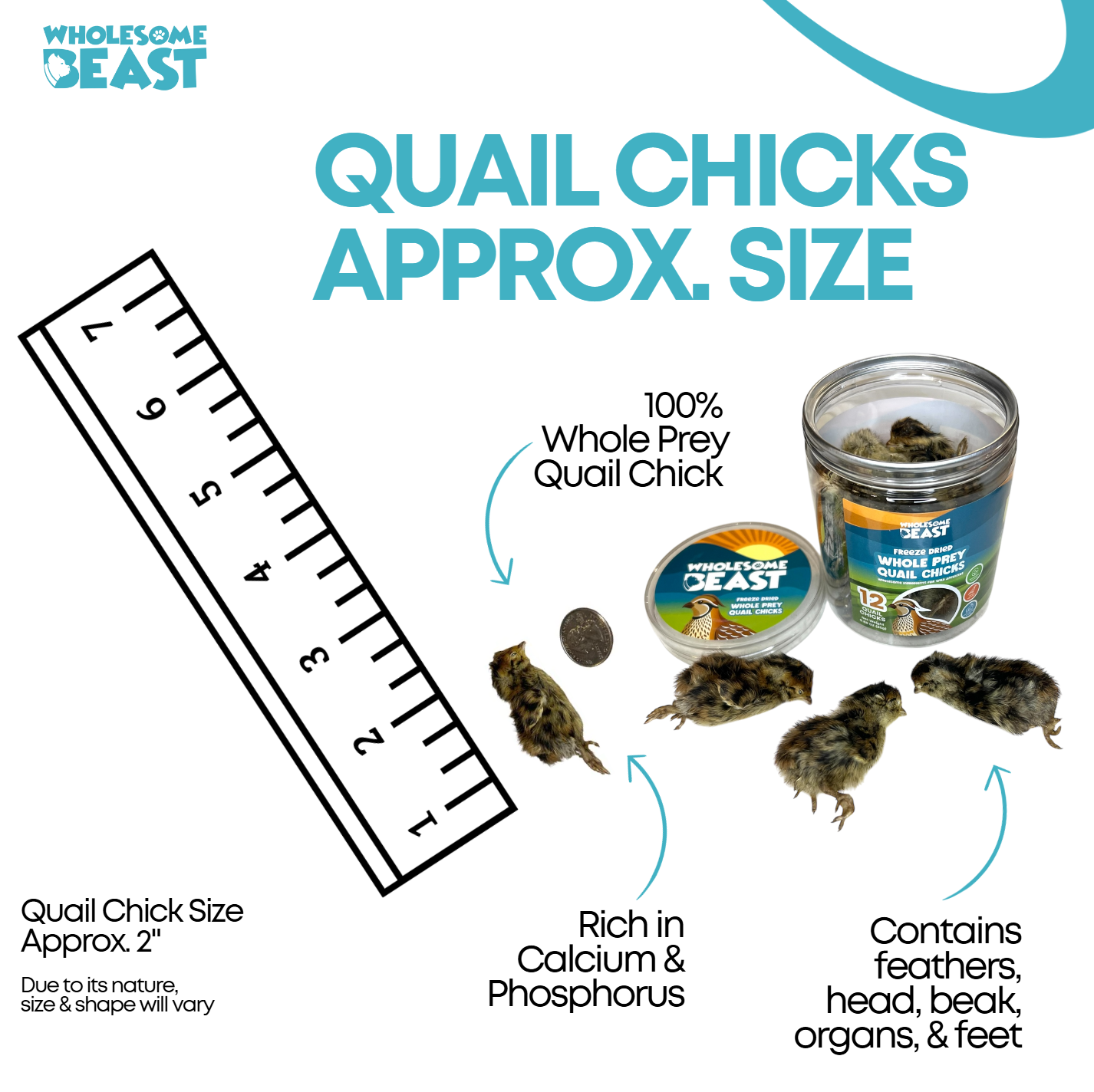 Freeze Dried Whole Prey Quail Chicks